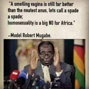 11215101_749619095149283_6962616342886616292_n