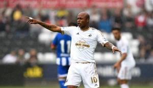 11999025_699430496856187_5477097798211363537_n