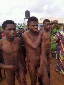 12208356_527742357384190_1367397500725505492_n