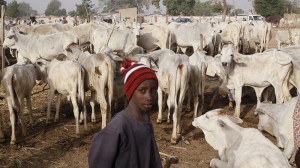 fulani