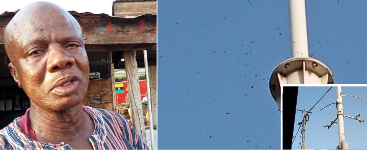 Wa: Bees Have Taken Over Wa Main Traffic, Some Road User, Traders Run for their&nbsp;Lives