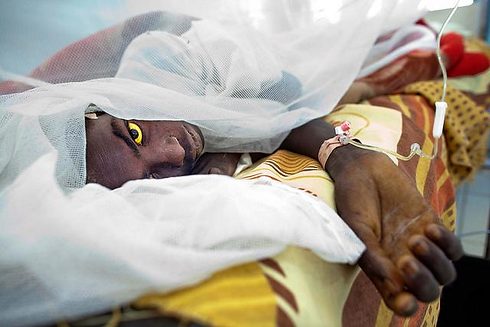 Sisaala East: Fulani Chief Reports More Than 32 Suspected Yellow Fever&nbsp;Deaths